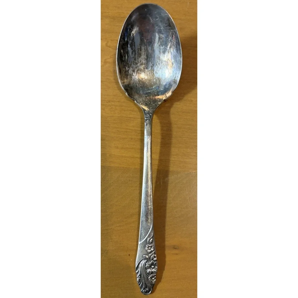 Lot 2 Oneida Evening Star Silver plate Butter Spreader & Soup Spoon Vtg 1950